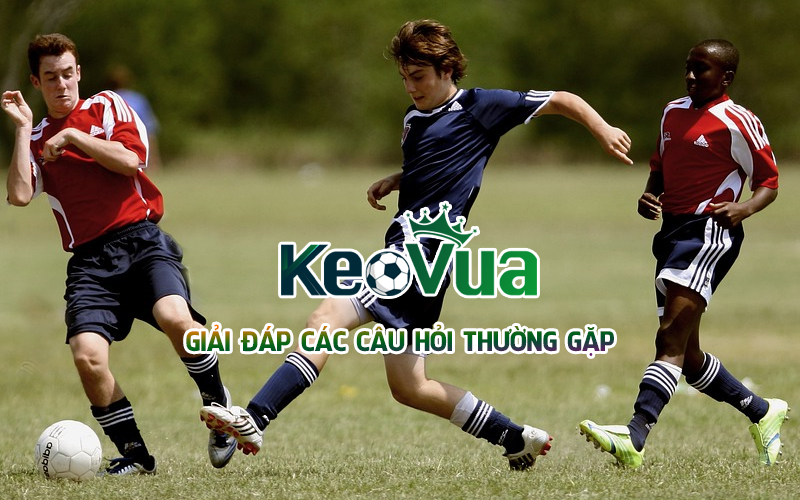 giai-dap-cac-cau-hoi-thuong-gap-khi-truy-cap-website-keovua-net